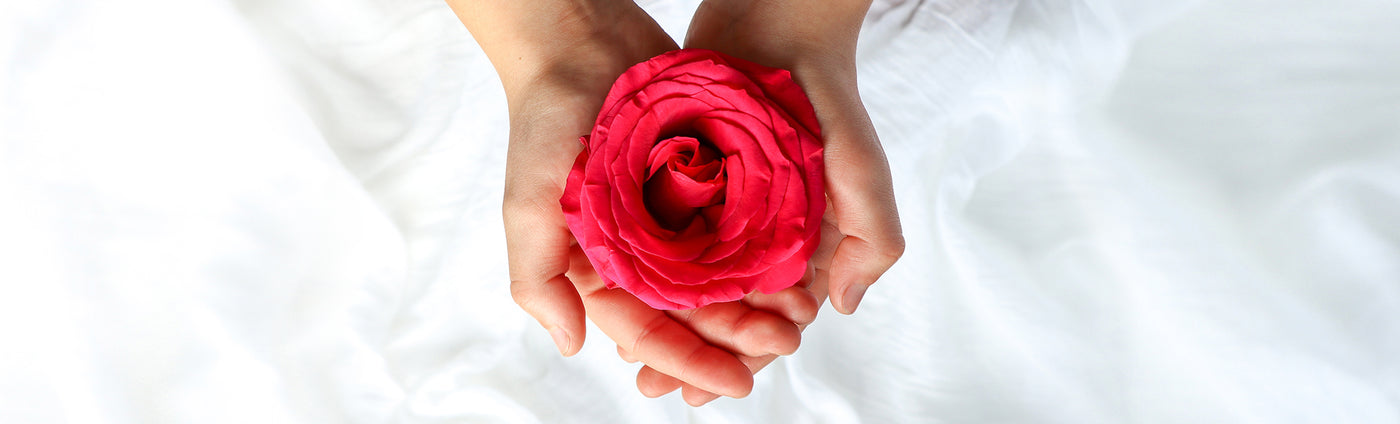 picture of hands holding a rose