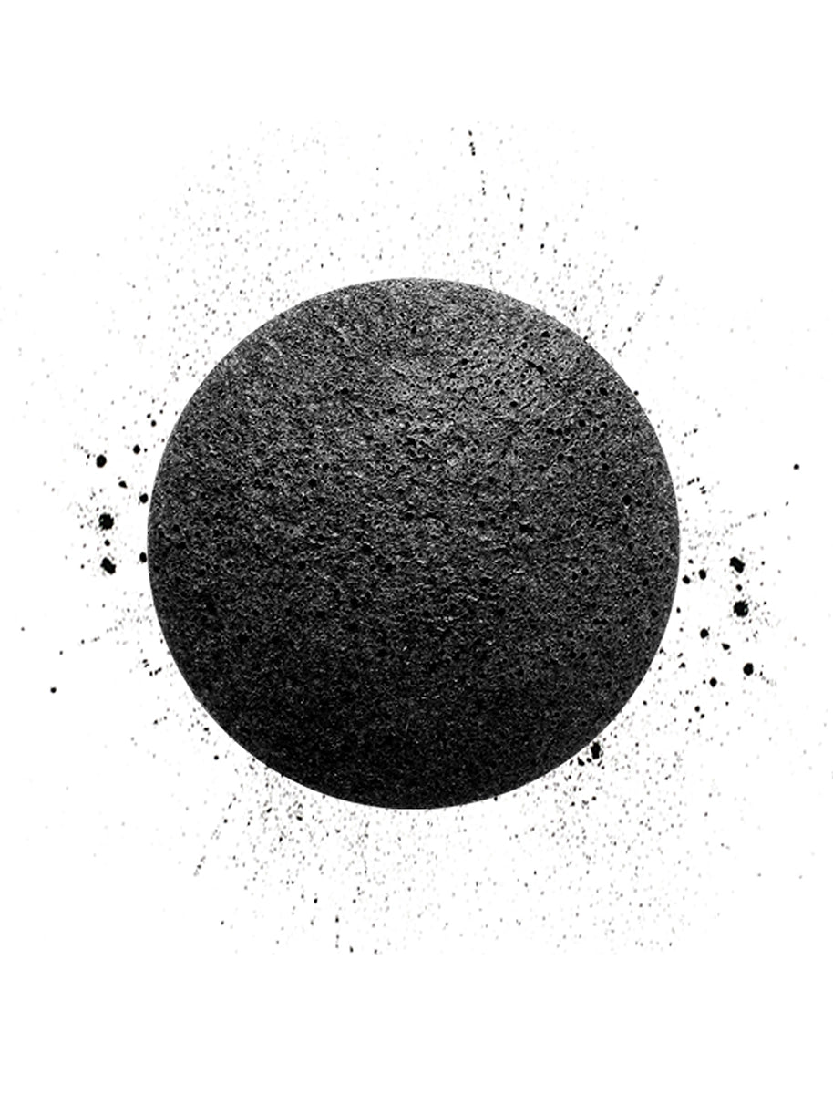 charcoal face and body sponge